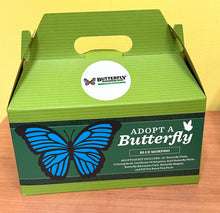 Load image into Gallery viewer, Blue Morpho Adopt-A-Butterfly kit