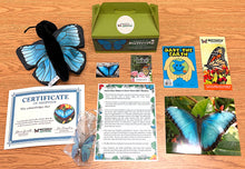 Load image into Gallery viewer, Blue Morpho Adopt-A-Butterfly kit