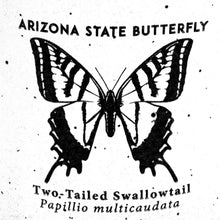 Load image into Gallery viewer, Arizona State Butterfly Mug (Two-tailed Swallowtail Papillio-multicaudata)
